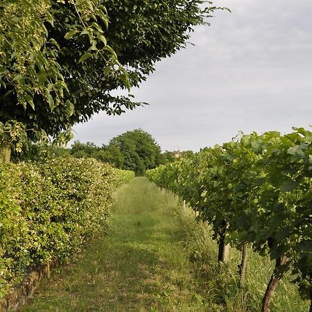Casa Griunit Villa Capriva del Friuli Eksteriør billede