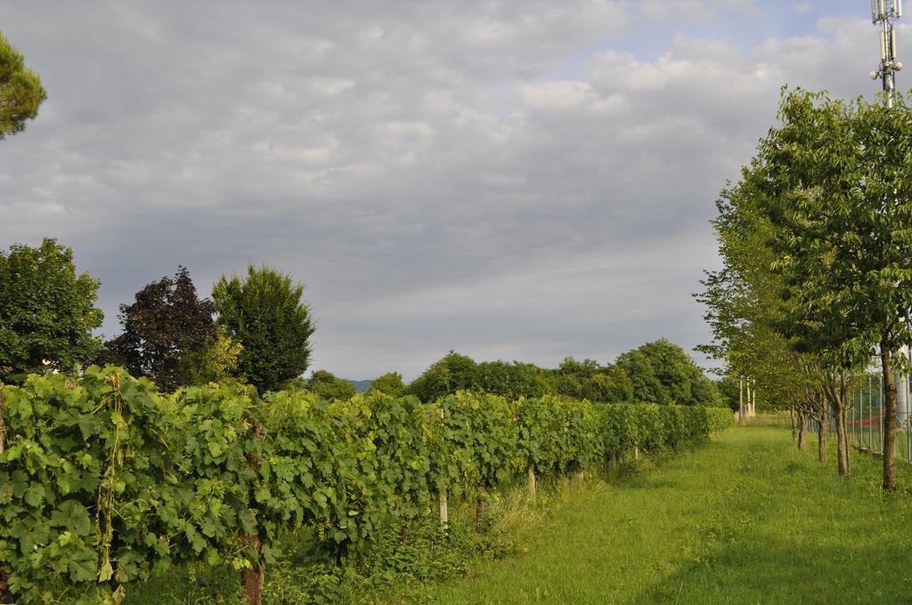 Casa Griunit Villa Capriva del Friuli Eksteriør billede